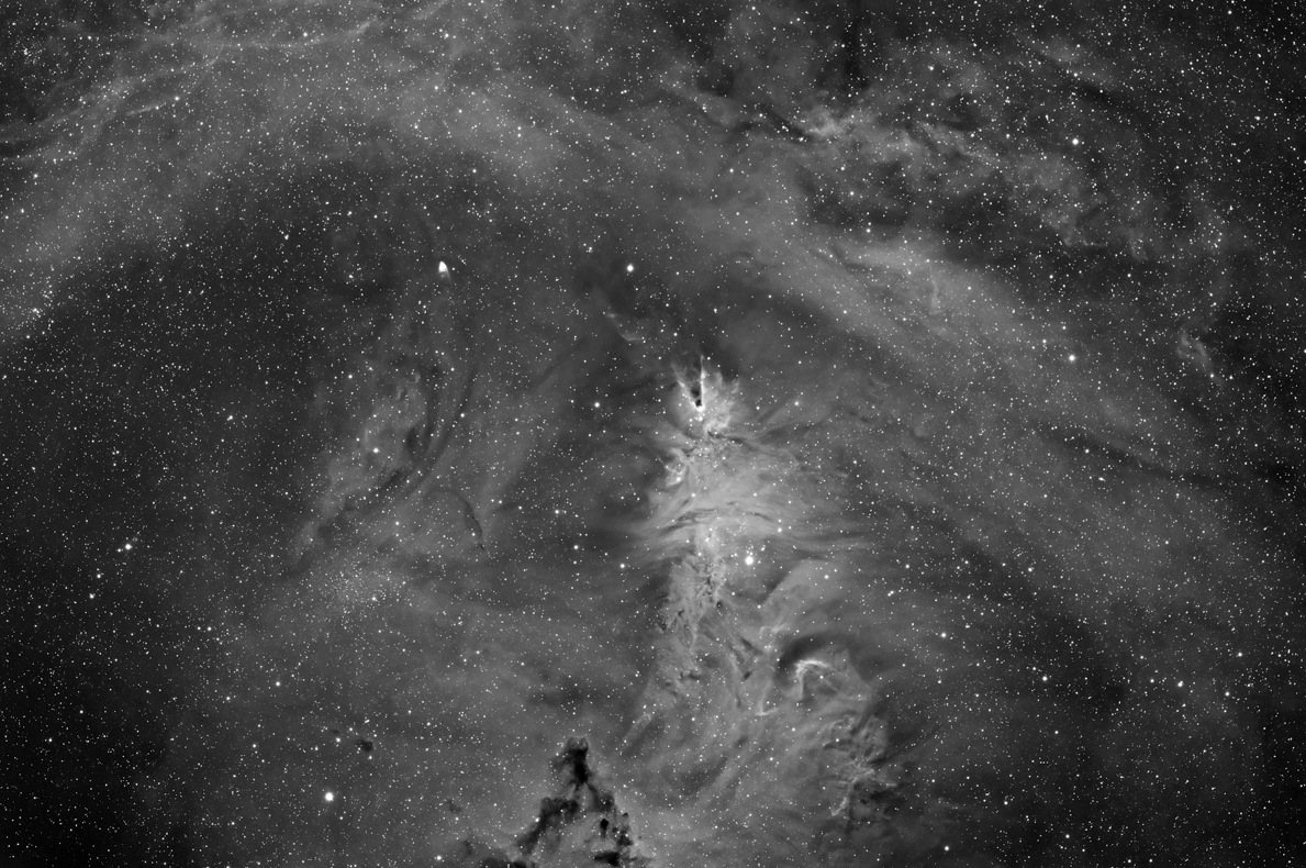 NGC2264 Ha Oct11