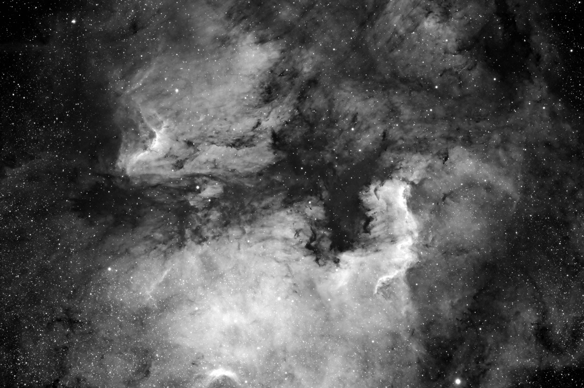 NGC7000